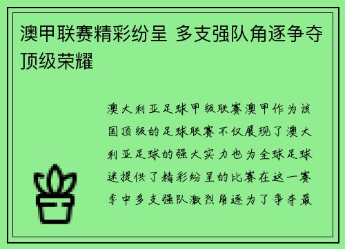 澳甲联赛精彩纷呈 多支强队角逐争夺顶级荣耀