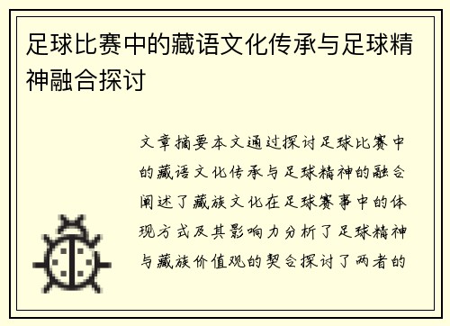 足球比赛中的藏语文化传承与足球精神融合探讨
