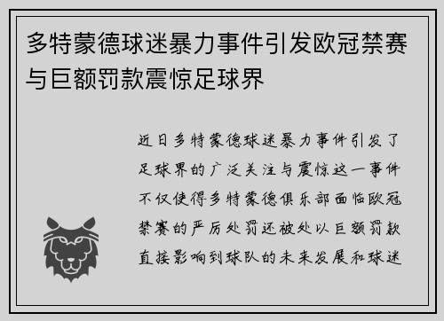 多特蒙德球迷暴力事件引发欧冠禁赛与巨额罚款震惊足球界