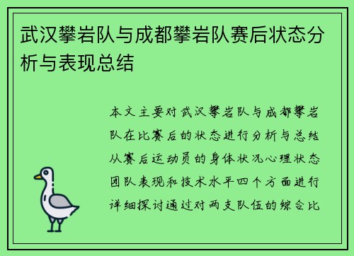 武汉攀岩队与成都攀岩队赛后状态分析与表现总结